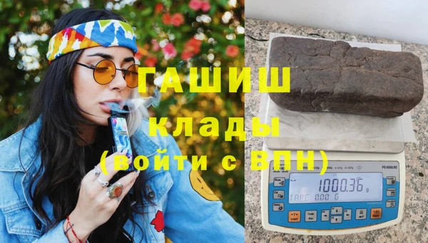 гашик Алексин